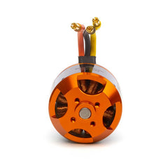 Avian 5055-650Kv Outrunner Brushless Motor by Spektrum