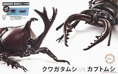 Fujimi Biology: Beetle vs Stag Beetle