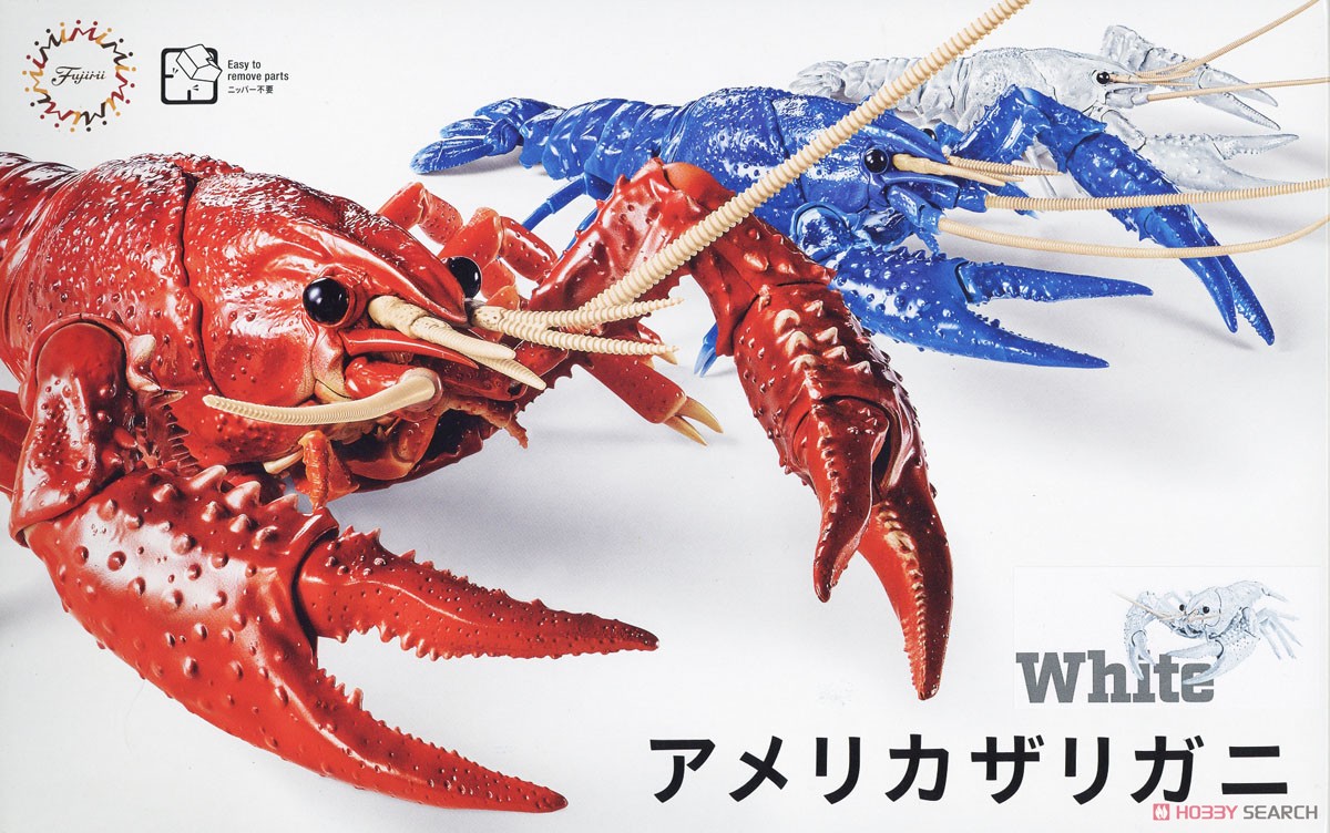 Fujimi Biology: Crayfish (White)