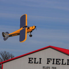 Carbon Cub 15cc 2.28m ARF by Hangar 9