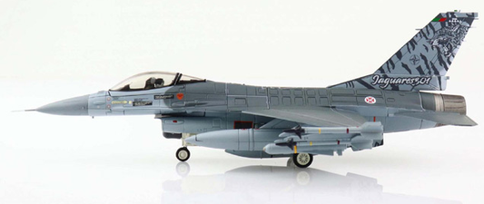 Hobby Master 1/72 F-16AM: PAF 'Tiger Meet'