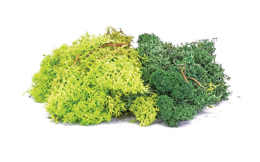 Hornby Lichen: Green Mix