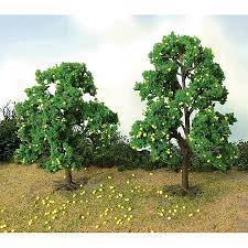 JTT Lemon Trees 2.5- 3.5" (6)