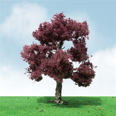 JTT 75-85mm Copper Beech (2)