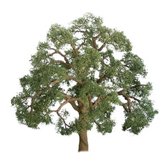 JTT 75mm Live Oak (2)repl R8908