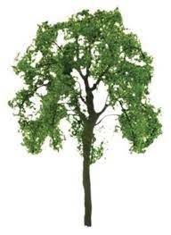 JTT 75mm Basswood Ash Tree (2)