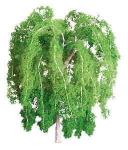 JTT 140mm Weeping Willow (1)