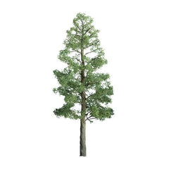 JTT 203mm Pine Tree (1)